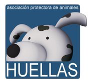 Protectora de Animales Huellas Ávila, desde 1994 salvando, curando y buscando nuevas familias a los animales abandonados.