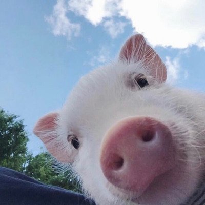 dhfgfdrer4's profile picture. 