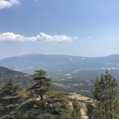 Kaya74164907's profile picture. 