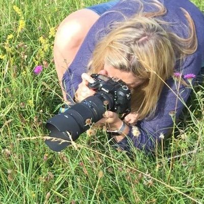 helenlewlew's profile picture. Passionate about wildlife especially on my doorstep 🦋🐝🐜🐞 All photos © Helen Llewelyn