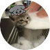싴 (@walsi_k) Twitter profile photo 싴 (@walsi_k) Twitter profile photo