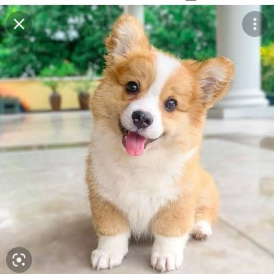 AwesomeSerena3's profile picture. Invested 2019 in #VMY #DYL and continue to top up all the way~ believe Uranium is the future Energy!