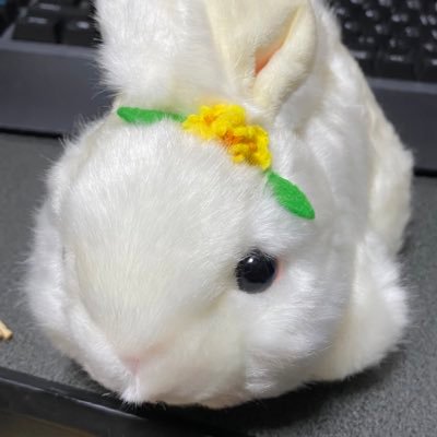 moimoiさんのプロフィール画像
