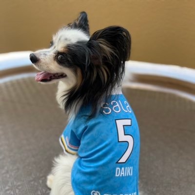 toko0113's profile picture. ジュビロ大好き 愛犬と過ごす時間、娘とデートの時間が楽しみです。 愛犬…パピヨン トライカラー 男の子  2009.1.13-2025.9.22 🌈