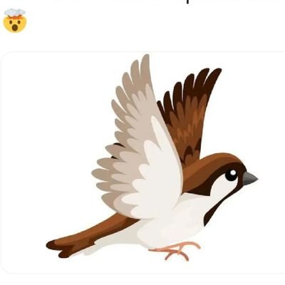 aadya7422's profile picture. cool