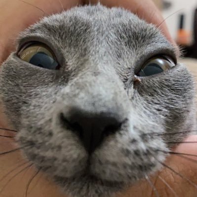 okkk183827's profile picture. 