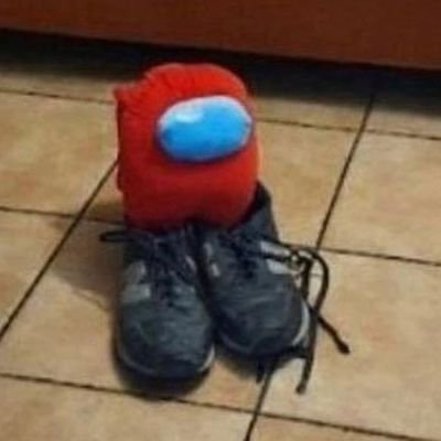 lor es algo así como un juramento hipocatrico