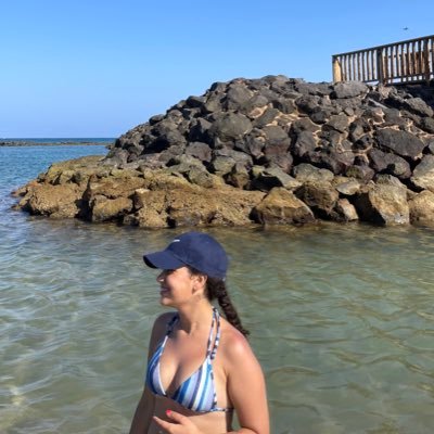🇮🇨🇮🇨🏝