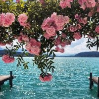 Mariem 🇹🇳 (@mariemnh) 's Twitter Profile