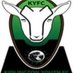 Kidlington Youth Ladies (@kidlingtonyfcl) Twitter profile photo