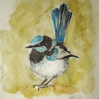 Small blue birb tweeting. #WearaRespirator  #ImWithNature  #CleantheAir #ClimateEmergency #AntiRacism #Protectkids