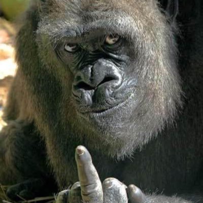 _TalibanAP's profile picture. Sold my feelings on EBAY for gas money🖕🏽 👻:ap.inkd IG:_1pmarley