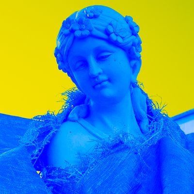鷲﨑雄一 Profile