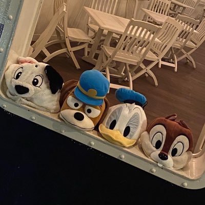 genkirinzz's profile picture. ✘Gen✘ /希望鯖荘園29/ 料理都市➪ふぁみりあ➪ネバメメ / 微課金/#ドローン精通1/大学生