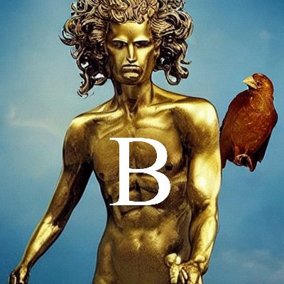 Bさんのプロフィール画像