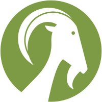 stolen goat (@goatstolen) 's Twitter Profile