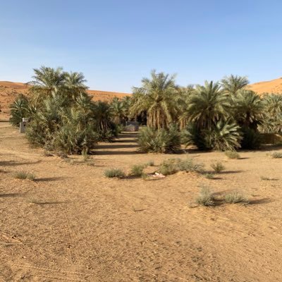 بوفهد