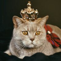 KDramaJipsa (@kdramajipsa) 's Twitter Profile