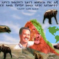 kifrulah TinsaeEri (ቅፍሩላ) (@aozermar) 's Twitter Profile