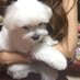 @NbpcGKbEWU4qQP6