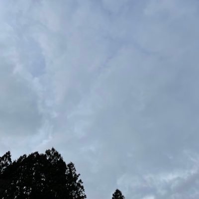 shinkaigyo110's profile picture. 雑多垢.RP多め Warframeやってます.MR25