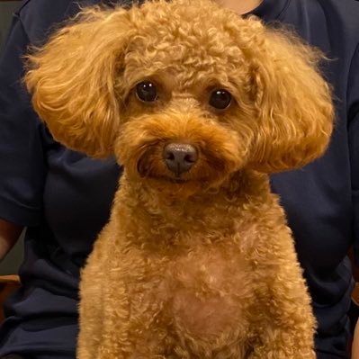 pinewiner's profile picture. 政治経済を呟きながら不動産・株・為替・暗号資産などを中心に投資しています。旅行・グルメ・スポーツ観戦が好きで最近は特にボクシングにハマっています🥊 #投資 #不動産 #暗号資産 #BTC #株 #為替 #ドル円