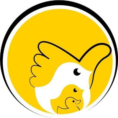 muzaffarnawaz's profile picture. graphic designer/photographer