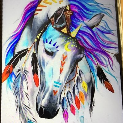 Chefindianer's profile picture. Howgh