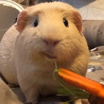 CodeHina18's profile picture. Imagine is interested
💗💗💗💗💗