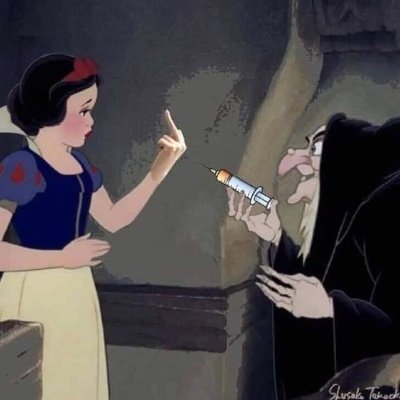 BiggyBlogsberg's profile picture. Sapere aude! 💙🇪🇸