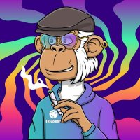 Monkey Treasury (@monkeytreasury) 's Twitter Profile