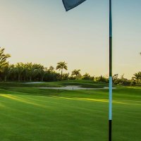 Kaptain_Donzy (@donzykaptain) 's Twitter Profile