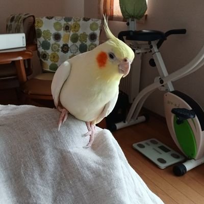 傾斜にまかせて海を見に行ってきます。