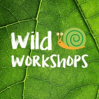 WildWorkshops (@wildwork1) 's Twitter Profile