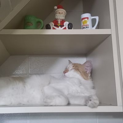 dadeza10's profile picture. Brindo a vida, família e grandes amigos.