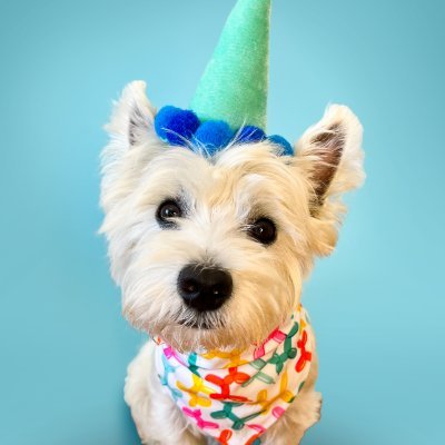 WestieVibes Profile Picture