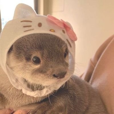 2000och_'s profile picture. #รับจ้างทำแผนการสอน