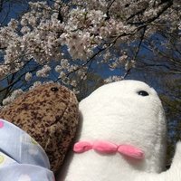 大山 鯢魚(@Geigyo_Ohyama) 's Twitter Profile Photo