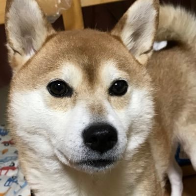 29_kishi's profile picture. 22↑ Straykids SixTONES King&Prince アイドルもアニメもなんでも好きです 交換も探しますが普通に発言します 綾野剛に狂っています