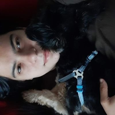 Nómada sin destino, voy construyendo mi camino✨
Humana de Ciro y Callie 🐶❤
Tv al Aire en Trece
Escena del Crimen en Unicanal
Redactora en OviedoPress