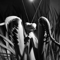 Hi There! Dear John! (@ultimumstatum) Twitter profile photo