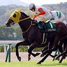 CruiserKib's profile picture. 競馬垢ッス🏇予想を公開するでもなく、noteにまとめるでもなく、ただ思った事をツイートに垂れ流すだけのアカ😃