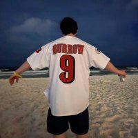 Aidan (@aidancbus) 's Twitter Profile