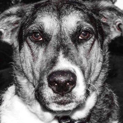 spicy_pep's profile picture. Garbage. Dabbler of things