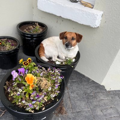 NodeManny's profile picture. 