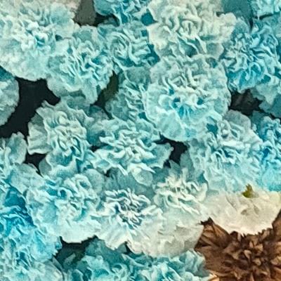 cu9cu9cu9's profile picture. 成人済。DM3日間返信ない場合は再度ご連絡いただけますと助かります。 友人分もまとめての取引が多いです。募集条件と異なるお声掛けには返信しないことがあります。お取引の懸念事項は先に申し伝えてください。