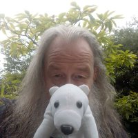 billy bumbler, old-ish fella. kind heart (bear)(@billybumbler2) 's Twitter Profile Photo