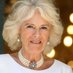Camilla I 👑 (parody) (@ameliepeters2) Twitter profile photo Camilla I 👑 (parody) (@ameliepeters2) Twitter profile photo
