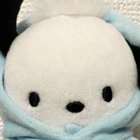 あおず (@_pocha_o) 's Twitter Profile
