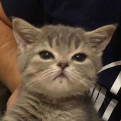 Nさんのプロフィール画像